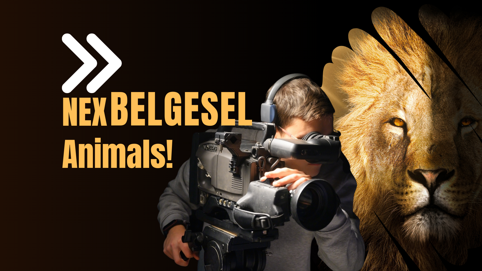 Belgesel